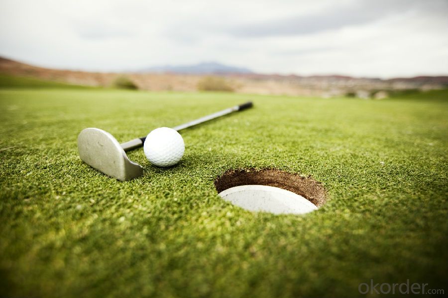 Sport Artificial Grass  Of  Golf Court  Surfaces