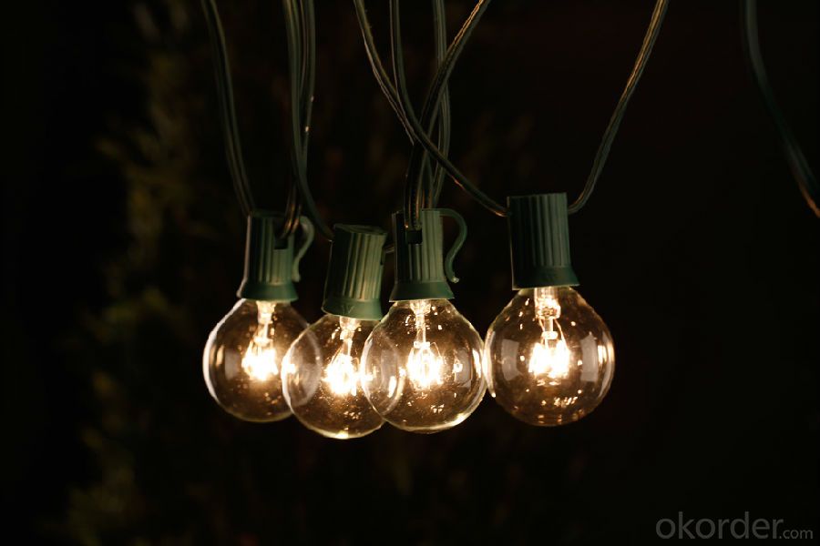 25ft String Lights with G40 Globe Bulbs, Extendable Indoor & Outdoor Light