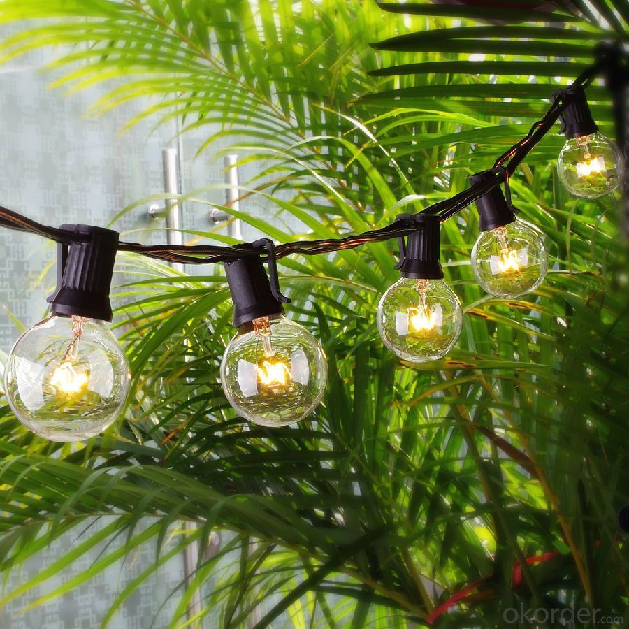 25FT G40 Globe String Light with 25 Clear Bulbs,Market Lights for Outdoor and Indoor Decoration