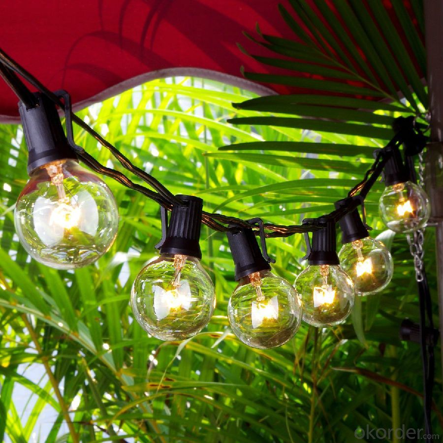 25FT G40 Globe String Light with 25 Clear Bulbs, Garden, Party, Wedding, Pergola, Backyard, Umbrella