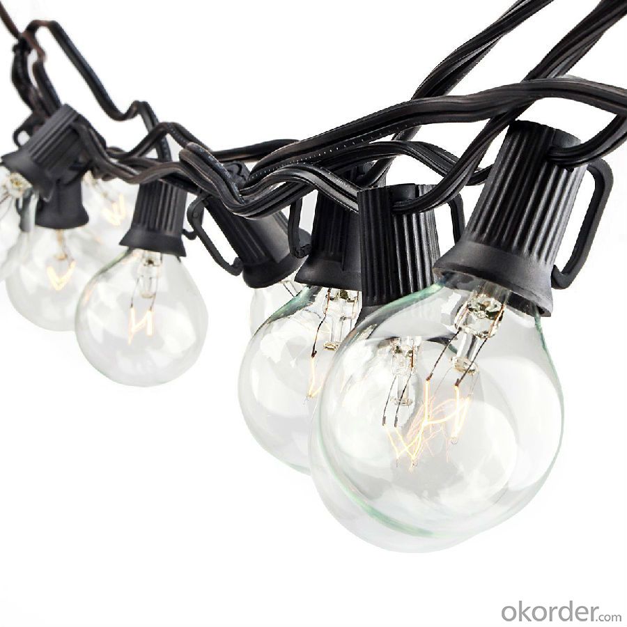 25FT G40 Globe String Light with 25 Clear Bulbs, Garden, Party, Wedding, Pergola, Backyard, Umbrella