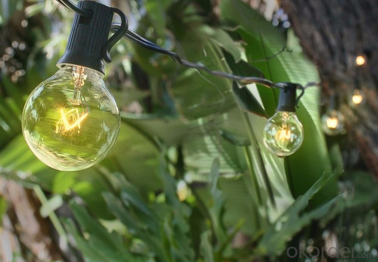 Outdoor Light String Globe Patio String Lights - Light Strings w/ Clear G40 bulbs UL Edison Lights