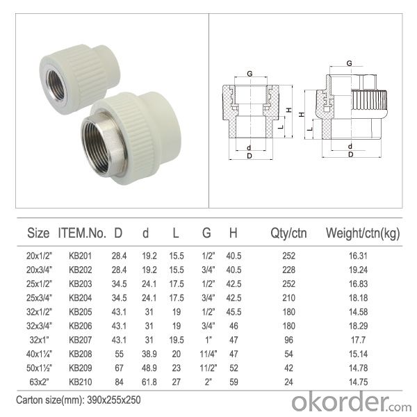 Water Heater PPR Threaded Union Plastic Coupling
