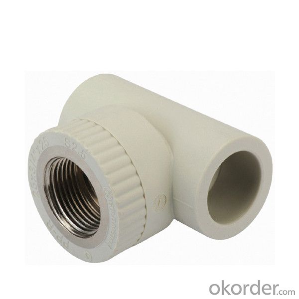 PPR Pipe Fittings Female and Female brass insert Tee