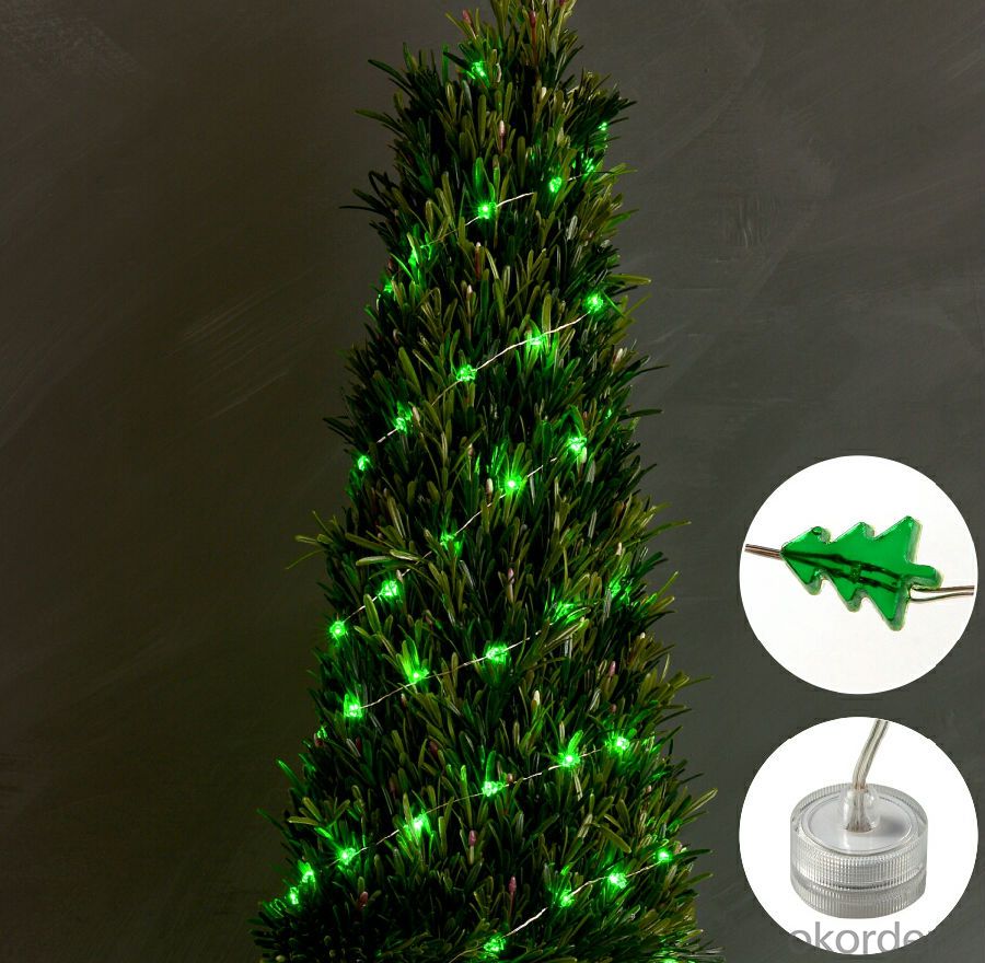 Green Copper Wire  Led Light String for  Christmas Festival Decoration