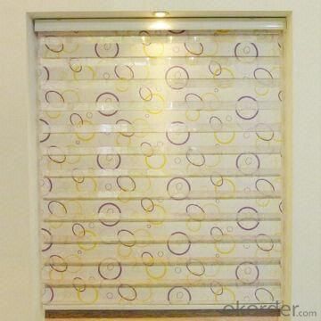 Clear Plastic Electric Cheap Spring Roller Blinds