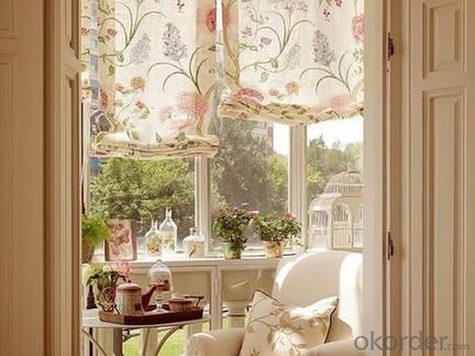 Clear Plastic Electric Cheap Spring Roller Blinds