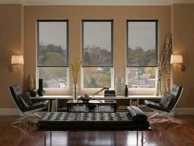 Outdoor Patio Plastic Cover Roller Blinds