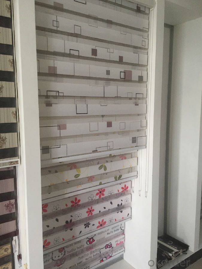 roller blind with electric double customized for home decoration