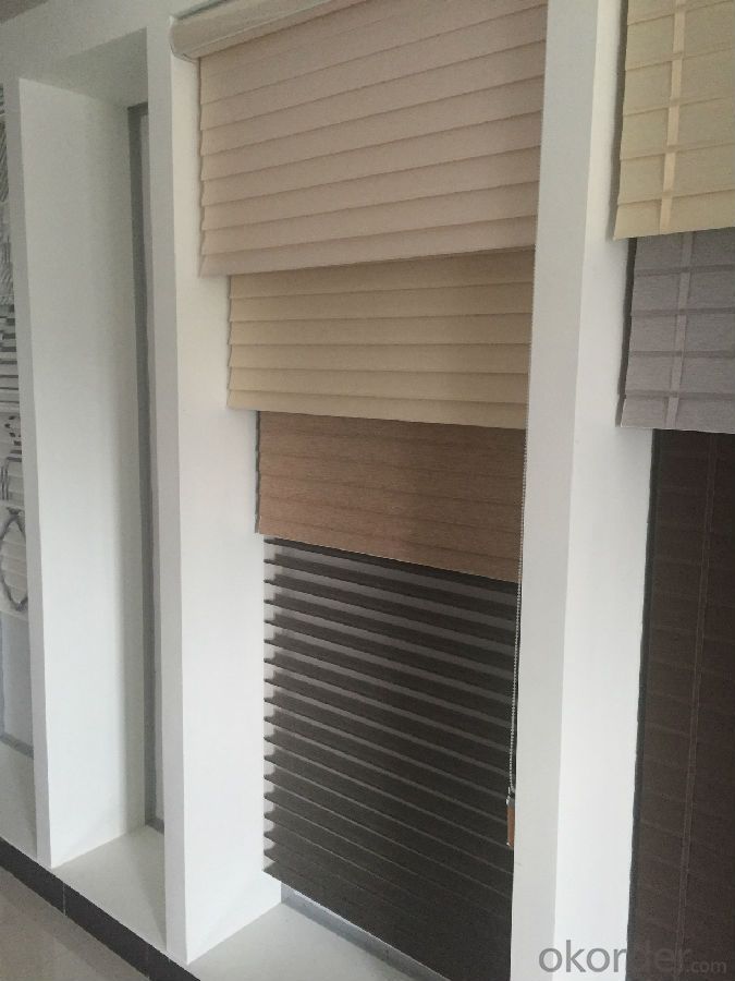 roller blind with double fabrics customized  for home decoration