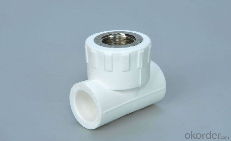 PPR Pipe Fitting Female Threaded Tee  use in Hot&Cold Water from China