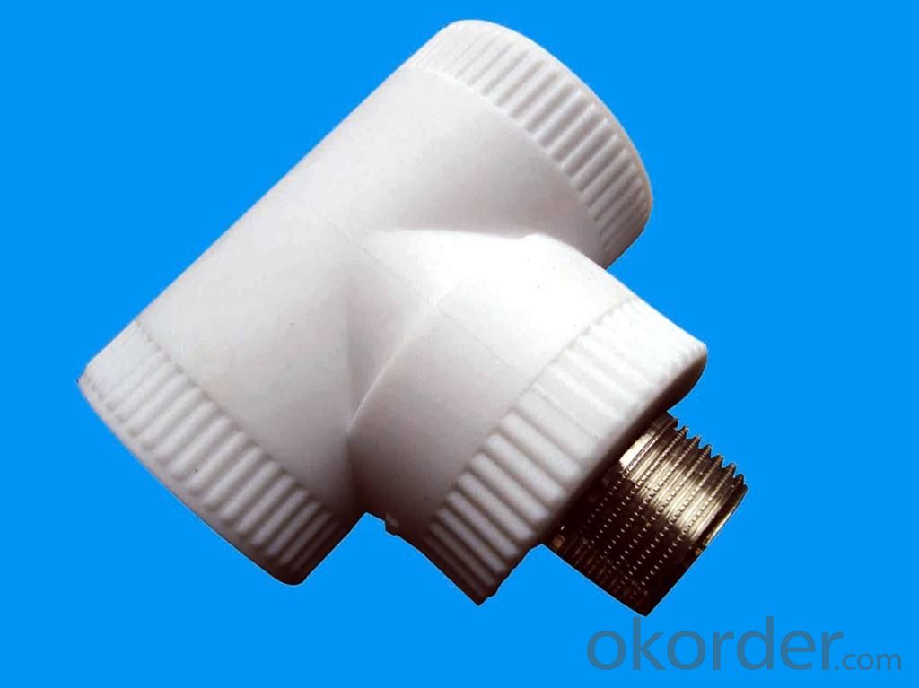 PPR Pipe Fitting Female Threaded Tee from China Professional
