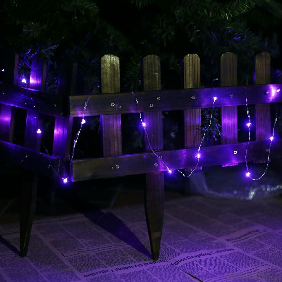 Purpule Copper Wire LED Light Bulb String for Outdoor Indoor Garden Cafe Restaurant Decoration