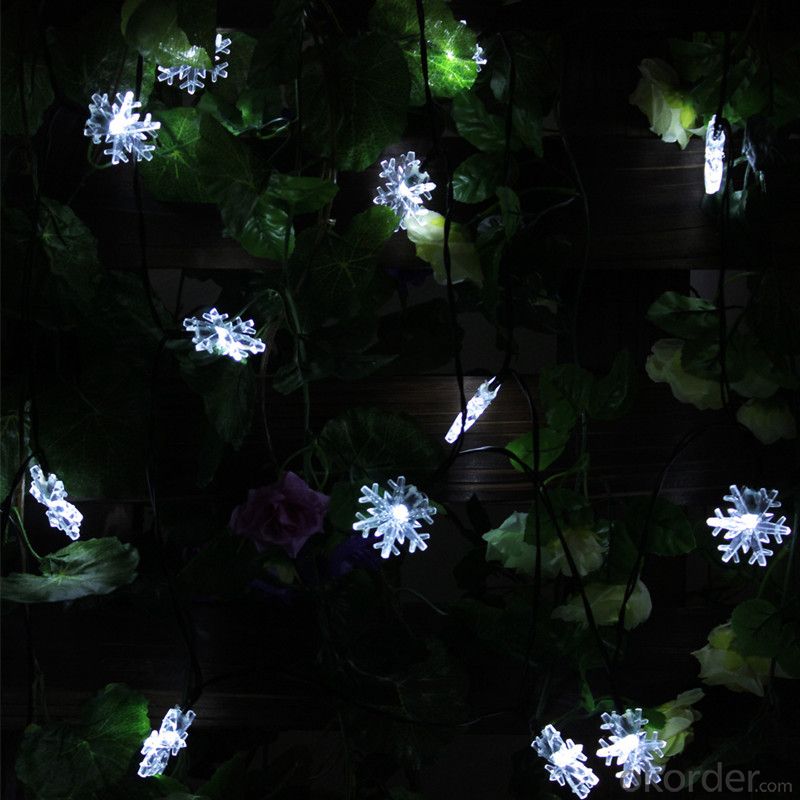 Solar Light String LED Light String for Outdoor Indoor Roof Garden Holiday Decoration