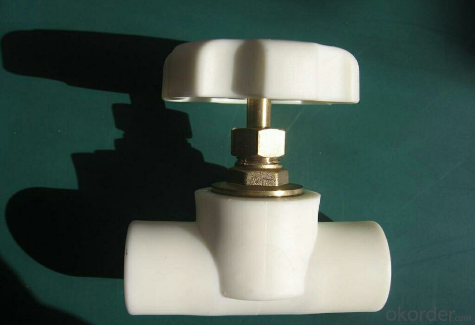 PPR Pipe Fittings Pipe Valve with High Quality for House and Other Buildings