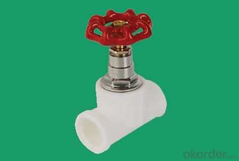 PPR Pipe Fittings Pipe Valve with High Quality for House and Other Buildings