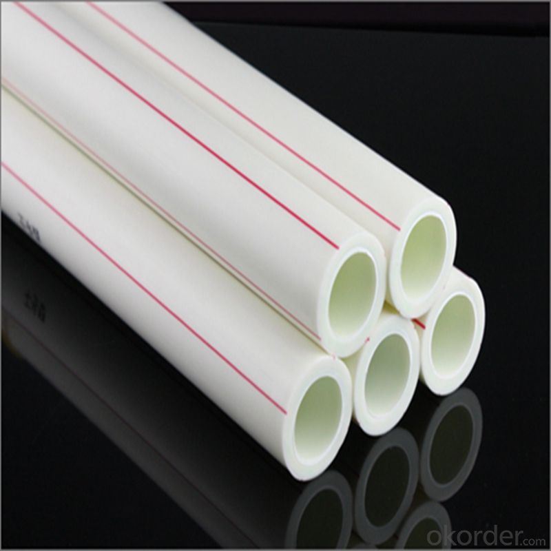 Plastic Popular PPR Pipe Size PN20 for competitive price