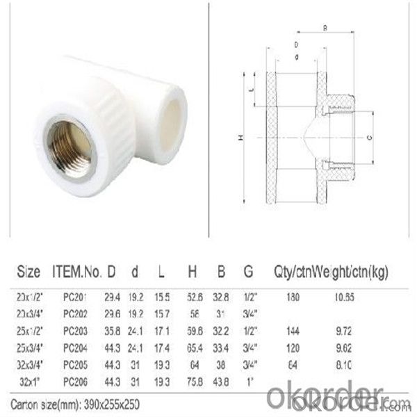 Hot&Cold Water PPR Pipe Fittings with High quality from China