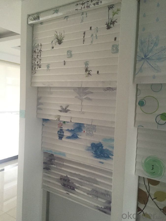 roller blind double customized for window