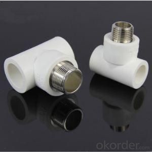 PPR Fittings Female Tee and Equal Tee from China