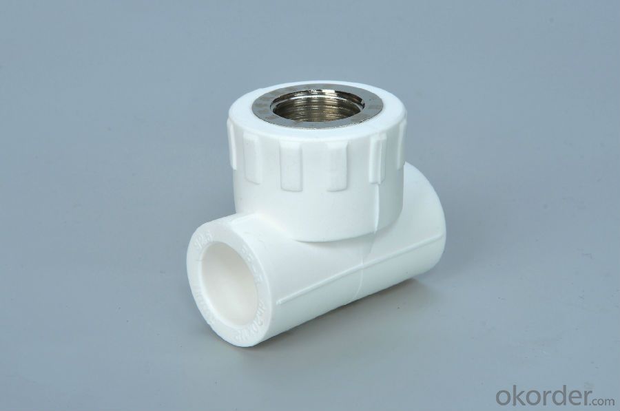 PPR Fittings Female Tee and Equal Tee from China