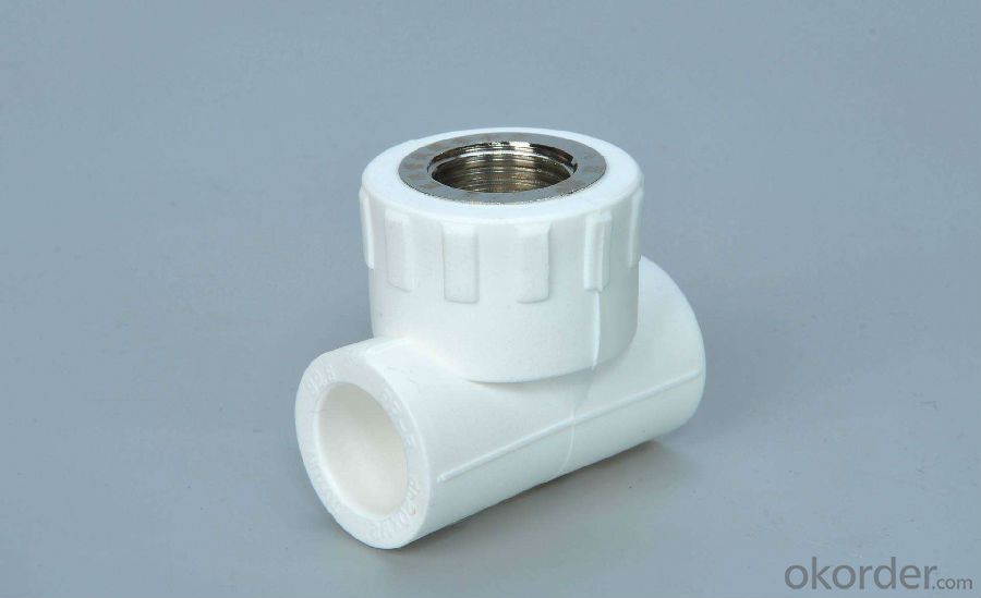 PPR Pipe and Fittings Female Tee and Equal Tee from China