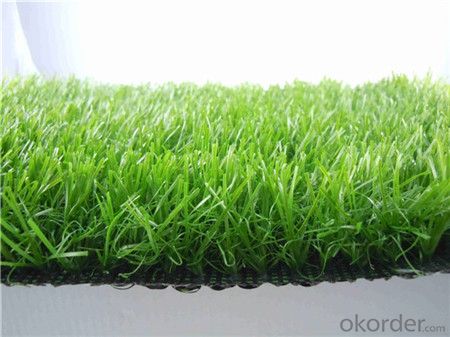 Multiuse Artificial grass in house yard or garden