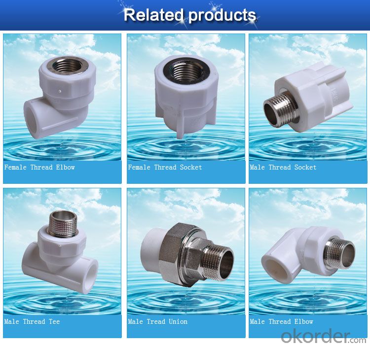 2017 Newest Ppr Pipe Fittings with Good Price for Water Supply
