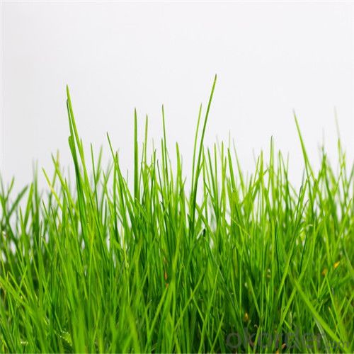 Home Garden Artificial Grass and Turf for Pet