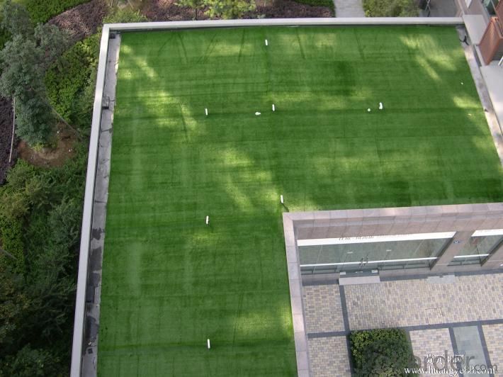 Mult -function and colorful artificial grass