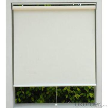 Clear PVC Outdoor Double Sided Roller Blinds