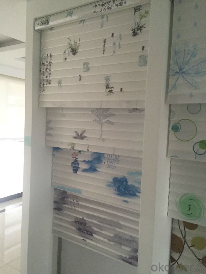 double roller blinds/curtain with tubular motor