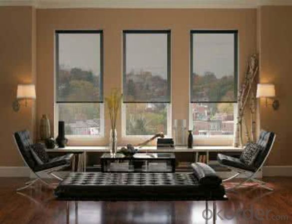 Sun Shading Side Window Roller Blinds Shades