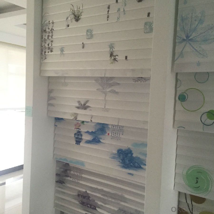 roller blinds with accessories for home window