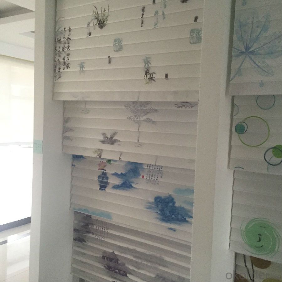 dual roller blinds with european luxtury type