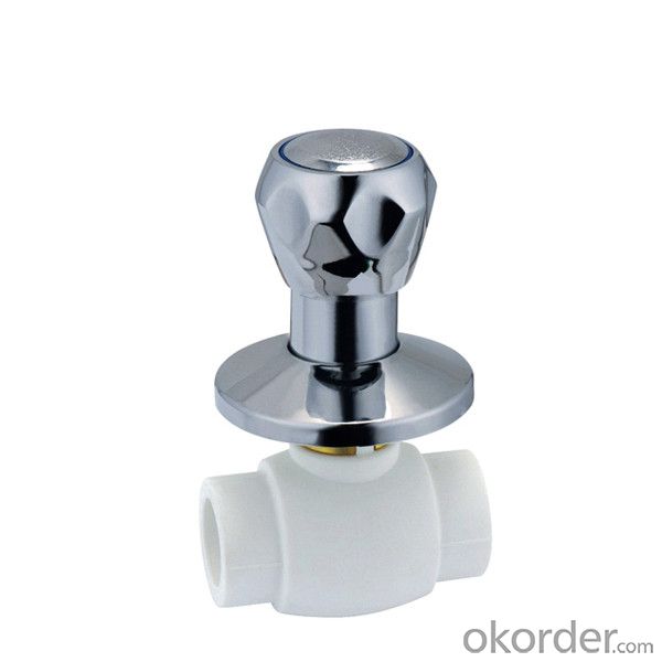 *PPR Flttlng Hydraulic Cable Control Valve High Class Quality