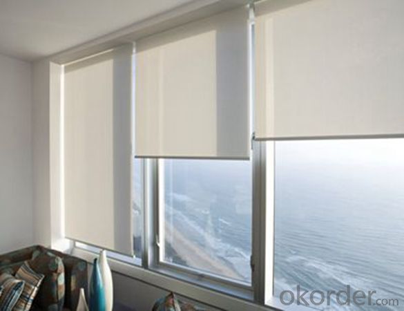 Patio Outdoor Motorized Roller Shades Blinds