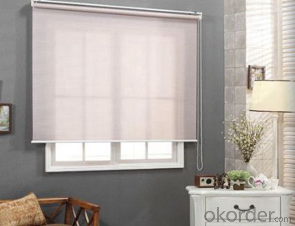 Outdoor Double Sided Bamboo Roman Roller Blinds