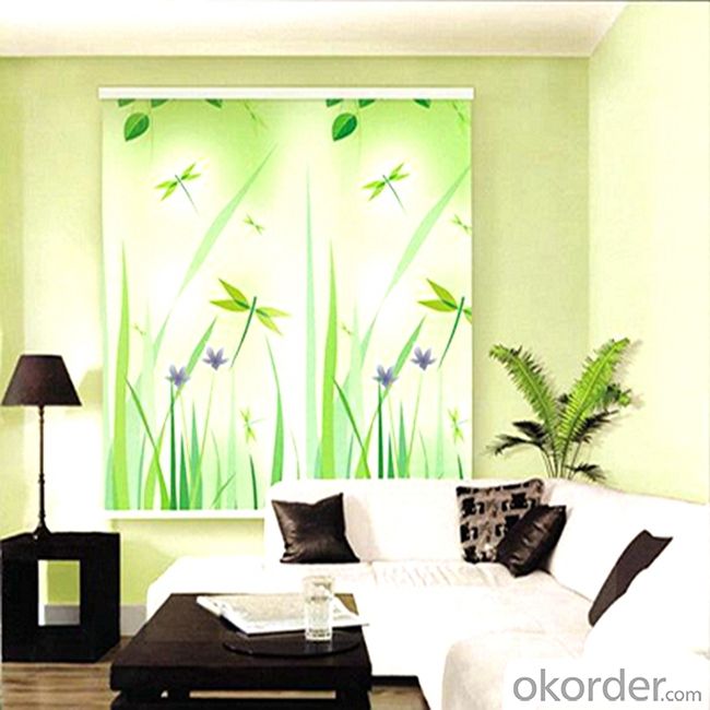 Decorative Dooya Double Sided Roller Blinds