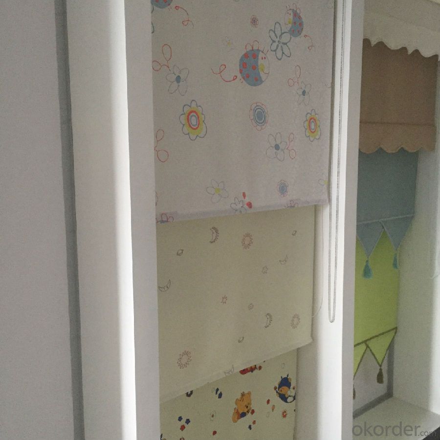 roller blind with hot selling and new style