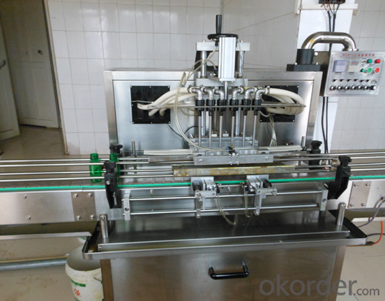 CPG-6F Automatic In-line Capping machine
