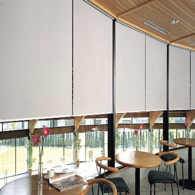 Outdoor Plastic Clear Vertical Roller Blinds