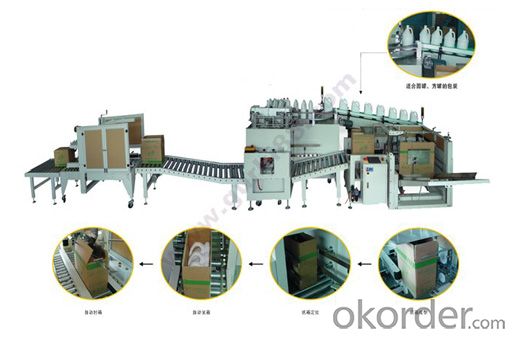 Low Price Automatic packaging line made in China