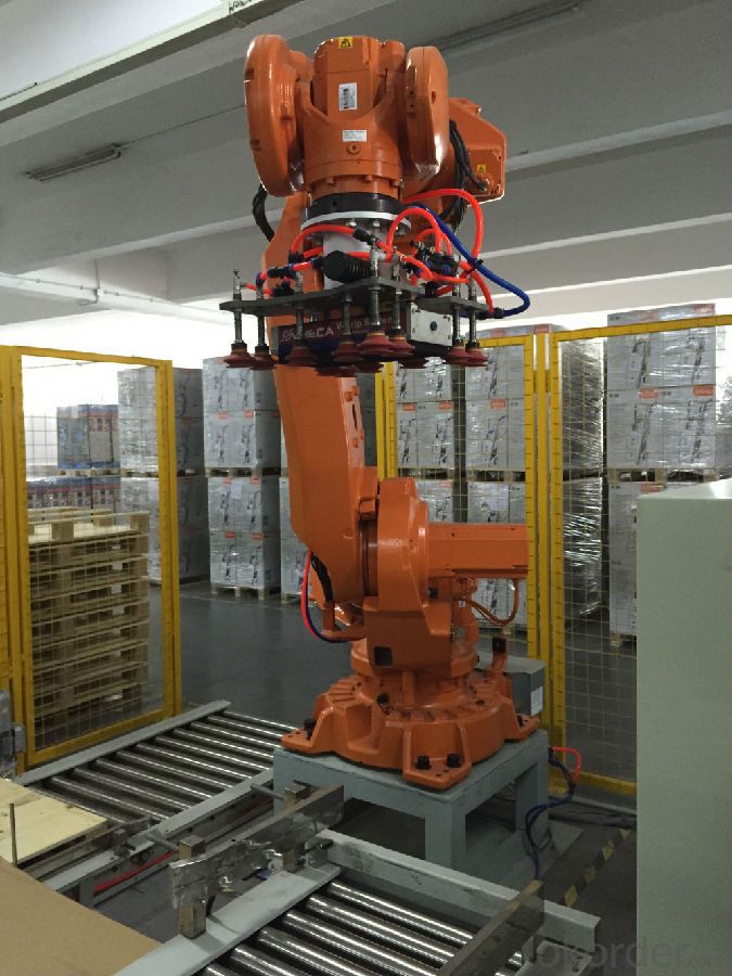 High Quality Carton palletizing machine made in China