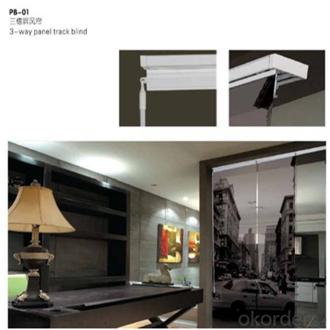 Motorized One Way Vision Roller Skylight Blinds