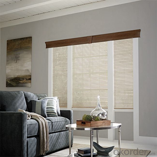 Auto Bamboo Roller Decorative Blinds Outdoor