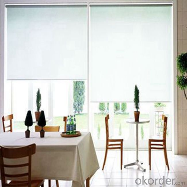 Plastic Valance Perforated Roller Blinds