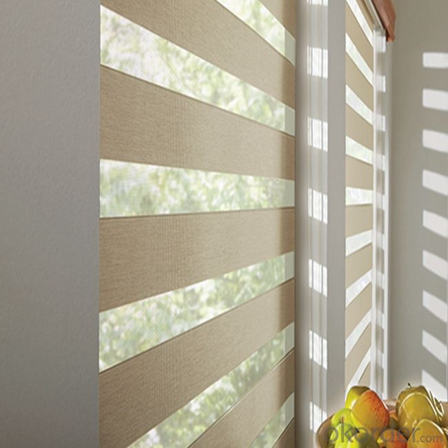 PVC Outdoor Zebra Chain Blinds Curtains Shades