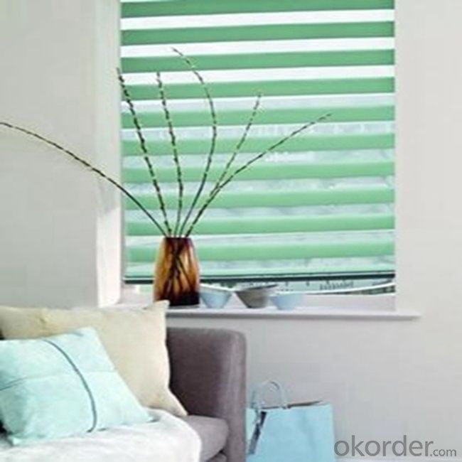 Colored PVC Double Roller Vertical Blinds