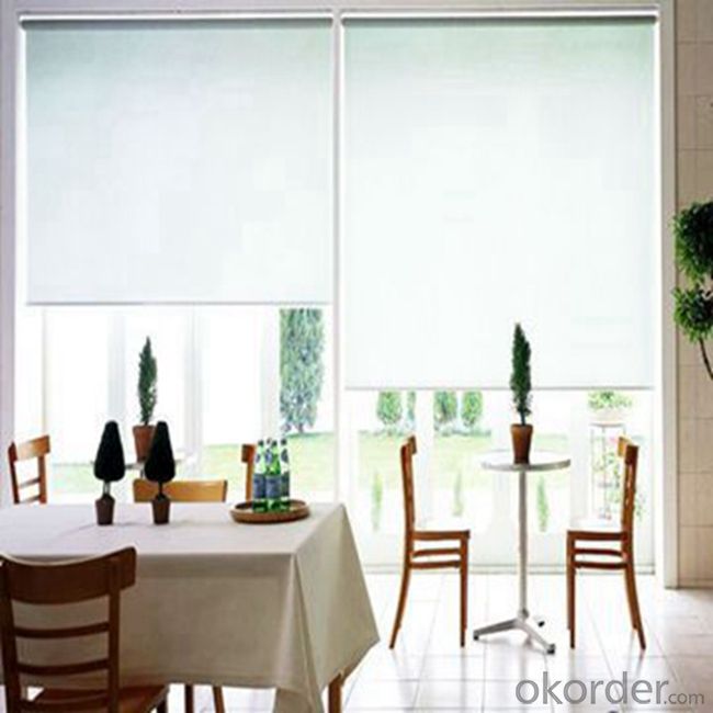 Motorized One Way Vision Roller Skylight Blinds